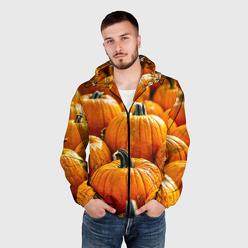 Мужская ветровка Много тыкв / 3D-Черный – фото 3