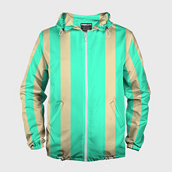 Мужская ветровка Color blue beige stripes
