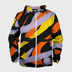 Мужская ветровка Полоски краски абстракция