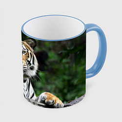 Кружка 3D Тигр в джунглях, цвет: 3D-небесно-голубой кант