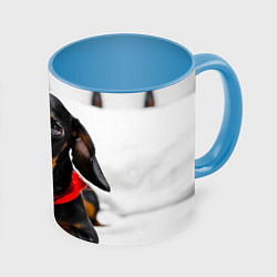 Кружка 3D Милая такса, цвет: 3D-белый + небесно-голубой