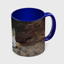 Кружка 3D Фенек, цвет: 3D-белый + синий