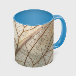 Кружка 3D Прожилки листика, цвет: 3D-белый + небесно-голубой