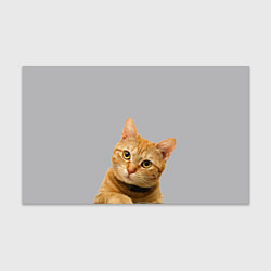 Бумага для упаковки Рыжий котик, цвет: 3D-принт
