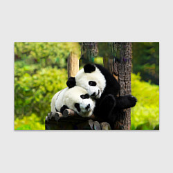 Бумага для упаковки Влюблённые панды, цвет: 3D-принт