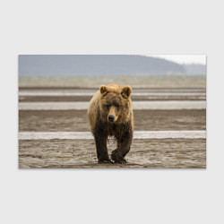 Бумага для упаковки Медвежонок в аэропорту, цвет: 3D-принт