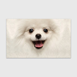 Бумага для упаковки Белая собачка - Померанский Шпиц, цвет: 3D-принт