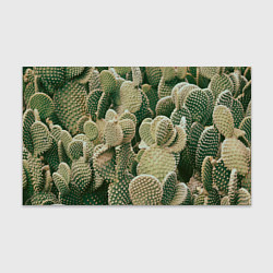 Бумага для упаковки Поле кактусов, цвет: 3D-принт