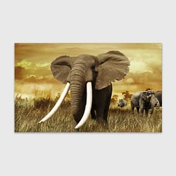 Бумага для упаковки Могучий слон, цвет: 3D-принт
