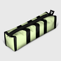 Пенал Color light green black line
