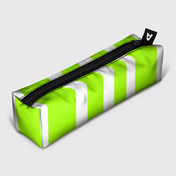 Пенал для ручек Color light green white stripes, цвет: 3D-принт