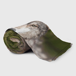 Плед флисовый Волк таежный, цвет: 3D-велсофт — фото 2