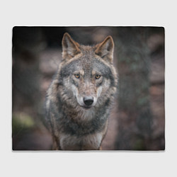 Плед флисовый Волк - санитар леса, цвет: 3D-велсофт