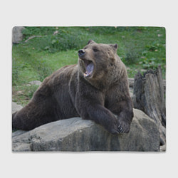 Плед флисовый Медведь, цвет: 3D-велсофт