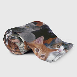 Плед флисовый КОТЯТКИ, цвет: 3D-велсофт — фото 2