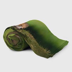 Плед флисовый Сонный лисенок, цвет: 3D-велсофт — фото 2