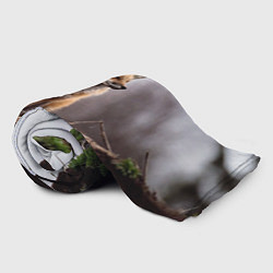 Плед флисовый Лиса, цвет: 3D-велсофт — фото 2