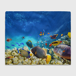 Плед флисовый Морской мир, цвет: 3D-велсофт