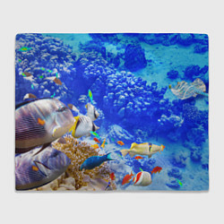 Плед флисовый Морской мир, цвет: 3D-велсофт