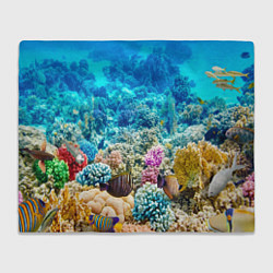Плед флисовый Риф, цвет: 3D-велсофт