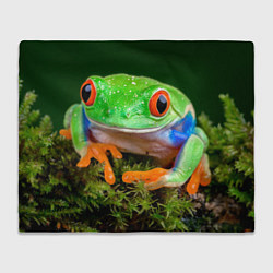 Плед флисовый Тропическая лягушка, цвет: 3D-велсофт
