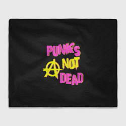 Плед флисовый Панк анархия, цвет: 3D-велсофт