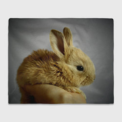 Плед флисовый Маленький кролик, цвет: 3D-велсофт