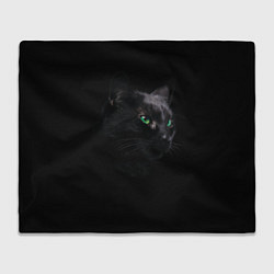 Плед флисовый Черна кошка с изумрудными глазами, цвет: 3D-велсофт