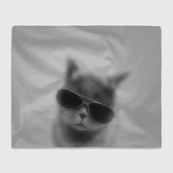 Плед флисовый Крутой кот в очках в тумане, цвет: 3D-велсофт