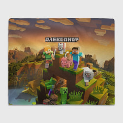 Плед флисовый Александр Minecraft, цвет: 3D-велсофт