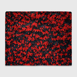 Плед флисовый Красные бегонии, цвет: 3D-велсофт