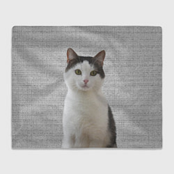 Плед флисовый Задумчивый котик, цвет: 3D-велсофт