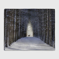 Плед флисовый Олень в зимнем лесу, цвет: 3D-велсофт