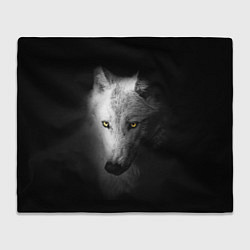 Плед флисовый Волк в полной тьме, цвет: 3D-велсофт