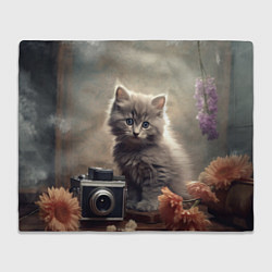 Плед флисовый Серый котенок, винтажное фото, цвет: 3D-велсофт