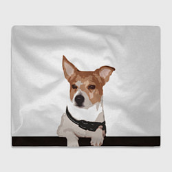 Плед флисовый Джек-рассел терьер, цвет: 3D-велсофт