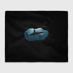 Плед флисовый Акула в овале, цвет: 3D-велсофт