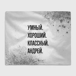 Плед флисовый Умный, хороший и классный: Андрей, цвет: 3D-велсофт