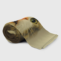Плед флисовый Удивленный кот - мем крупным планом, цвет: 3D-велсофт — фото 2