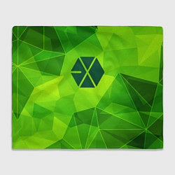 Плед флисовый Exo green poly, цвет: 3D-велсофт