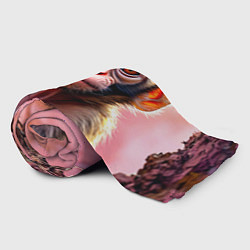 Плед флисовый Обезьянка в норке, цвет: 3D-велсофт — фото 2