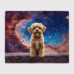 Плед флисовый Мальтипу в космосе, цвет: 3D-велсофт