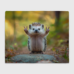 Плед флисовый Милый ежик позирует, цвет: 3D-велсофт