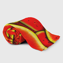 Плед флисовый Арбуз, цвет: 3D-велсофт — фото 2