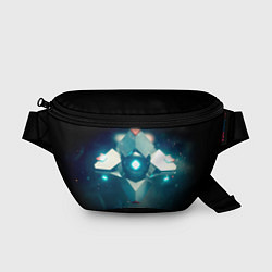 Поясная сумка Destiny 4, цвет: 3D-принт