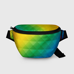 Поясная сумка Colored wall, цвет: 3D-принт