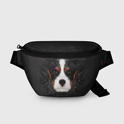 Поясная сумка Cavalier King Charles, цвет: 3D-принт