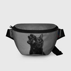 Поясная сумка Черный котик, цвет: 3D-принт