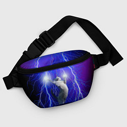 Поясная сумка Грозовой кошак, цвет: 3D-принт — фото 2