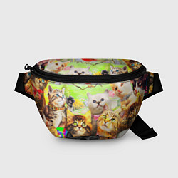 Поясная сумка КОТЫ, цвет: 3D-принт